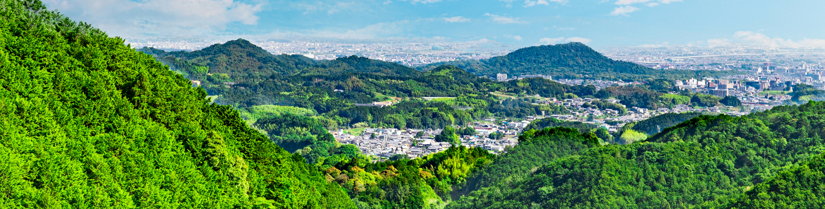 山間の街並みを上から見下ろした景色