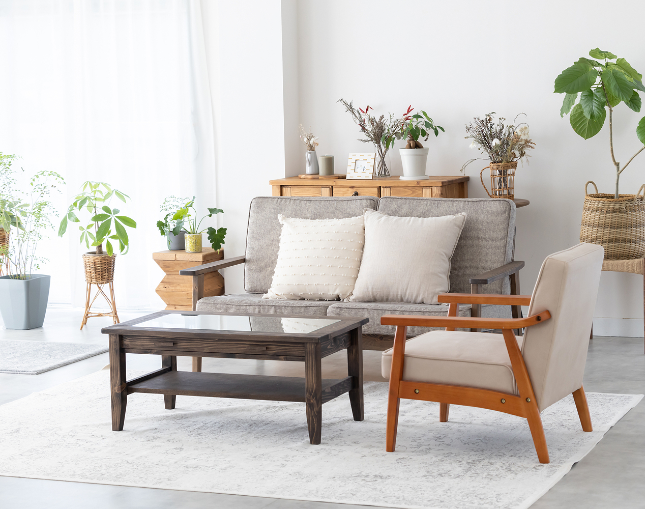 窓際に観葉植物があり、白い壁のリビングルーム。木製のソファーには二つの白いクッションが置かれている。